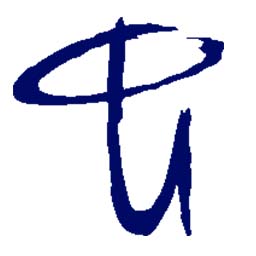CPU Consulting & Software GmbH