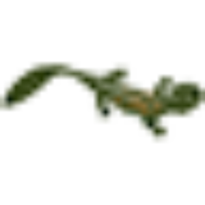 HELLBENDER Inc.