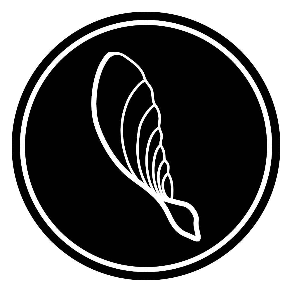 Samara Aerospace