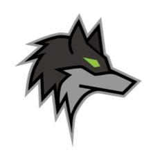 Dark Wolf Solutions