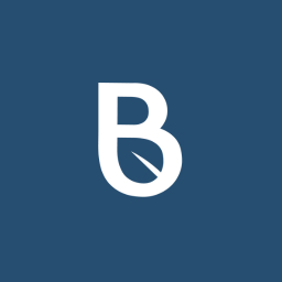 Banyan Infrastructure Corporation