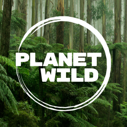 Planet