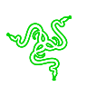 Razer Inc.