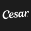CESAR (Centro de Estudos e Sistemas Avançados do Recife)