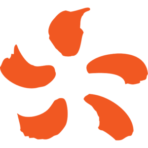 EDF power solutions