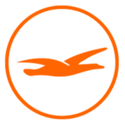 Mercura