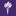 New York University
